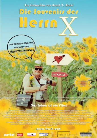 Movie poster for The Souvenirs of Mr. X (2004)