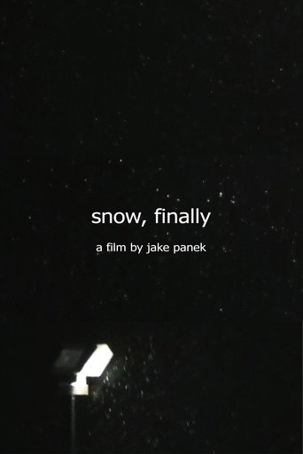 Movie poster for snow, finally (2024)