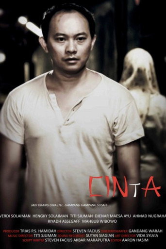 Movie poster for CINtA (2009)