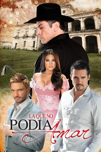 The One Who Couldn't Love poster