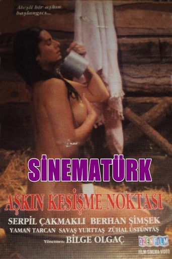 Aşkın Kesişme Noktası poster