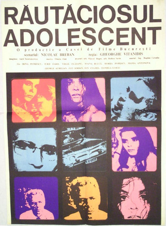 Movie poster for A Woman for a Season (1969)