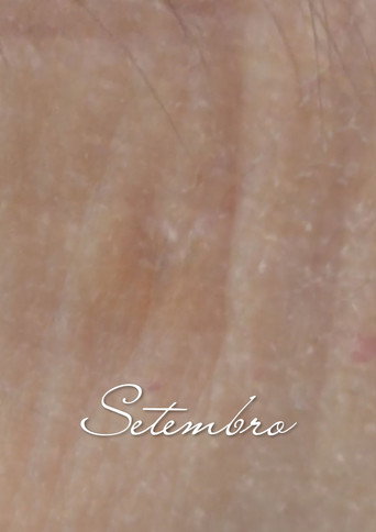 Movie poster for Setembro