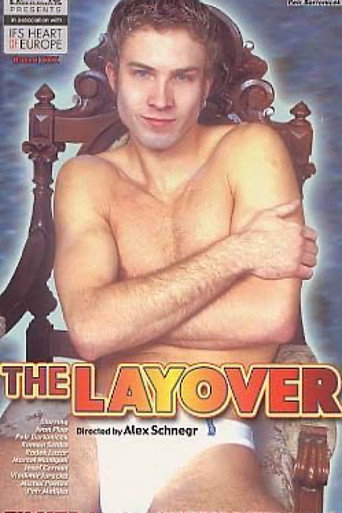 Movie poster for The Layover (2001)