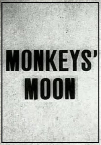 Movie poster for Monkey's Moon (1929)