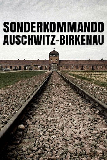 Movie poster for Sonderkommando Auschwitz-Birkenau (2008)