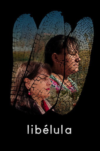 Movie poster for Dragonfly
