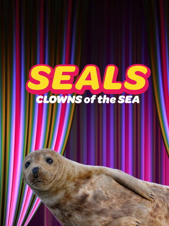Movie poster for Seals - Clowns of the Sea (2021)