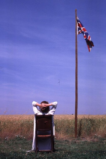 The Great Indoors poster