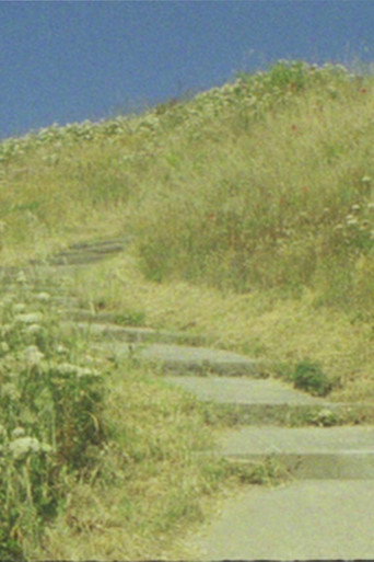 Movie poster for The seagull... and the glory of God