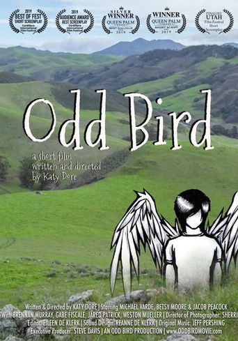 Odd Bird poster