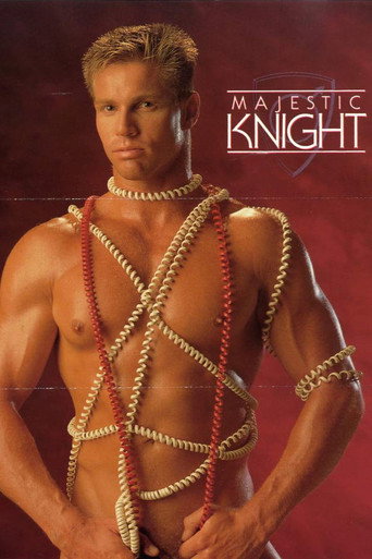 Movie poster for Majestic Knights (1991)