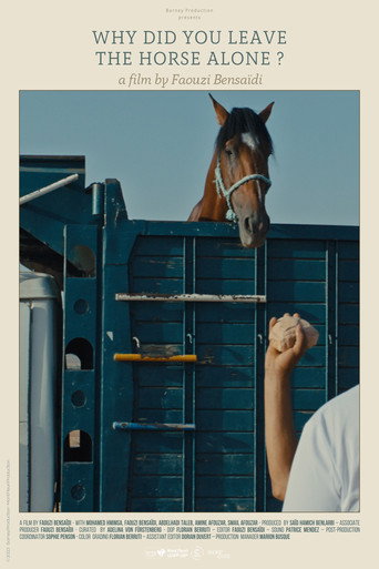 Movie poster for Why Did You Leave the Horse Alone? (2024)