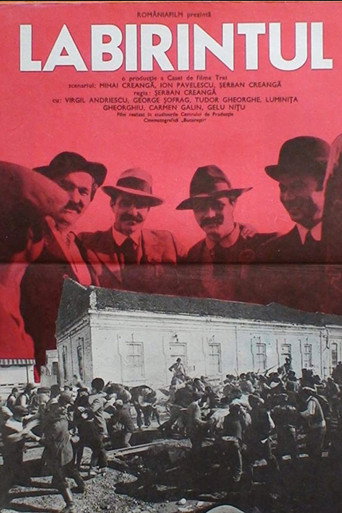 Movie poster for Labirintul