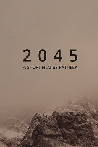 Movie poster for 2 0 4 5 (2016)