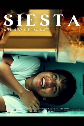 Movie poster for Siesta (2025)