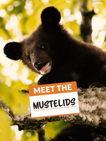 Movie poster for Meet the Mustelids (2020)