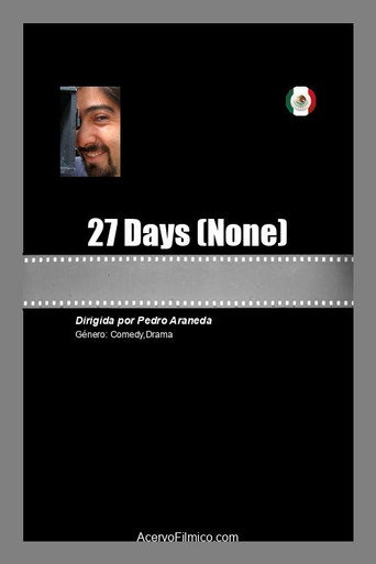 Movie poster for 27 Days (2021)
