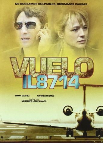 Flight 8714: Take Off to Disaster poster