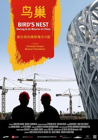 Movie poster for Bird's Nest - Herzog & de Meuron in China (2008)