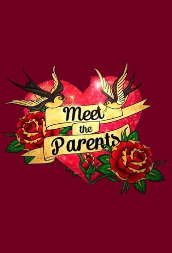 Meet the Parents poster