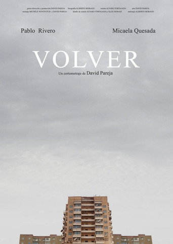 Volver poster