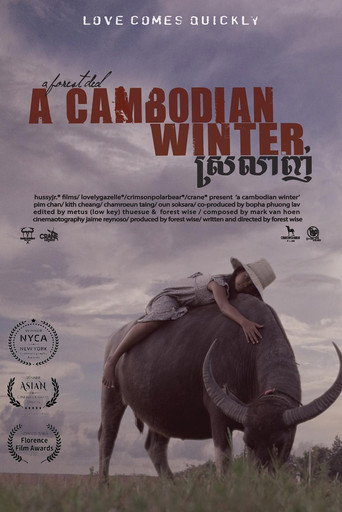 Movie poster for A Cambodian Winter