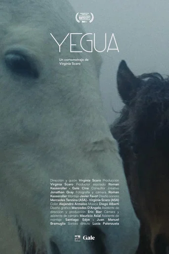 Movie poster for Mare