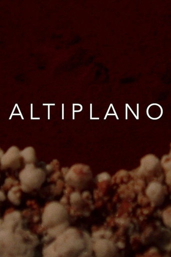 Movie poster for Altiplano (2018)