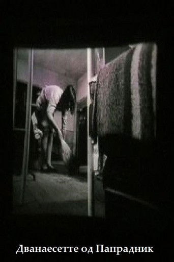 The Twelve Teachers of Papradnik poster