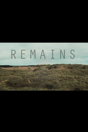 Movie poster for Remains (2025)
