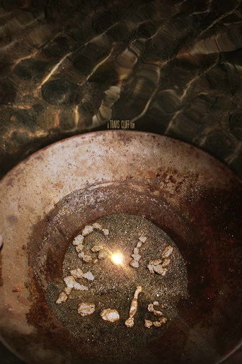 Movie poster for Gold Fools (2012)