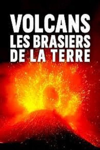 Movie poster for Planet der Vulkane (2019)