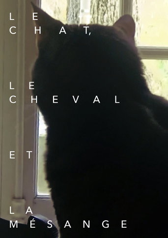 Movie poster for Le chat, le cheval et la mésange