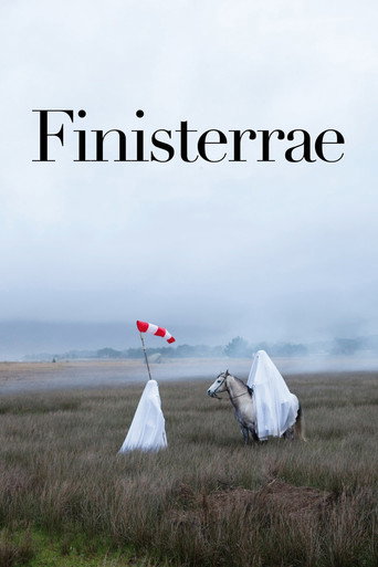 Movie poster for Finisterrae (2010)