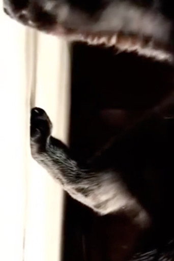 Empezando de cero poster