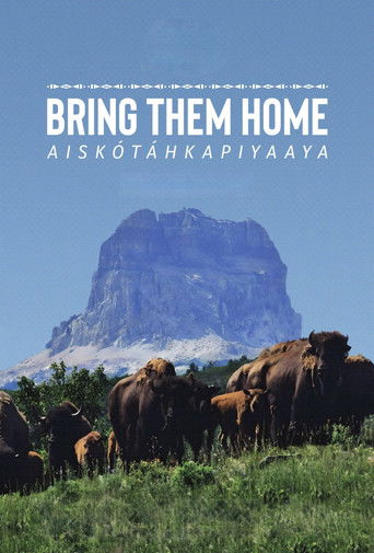 Bring Them Home poster