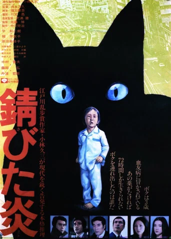 Movie poster for Flickering Flames (1977)
