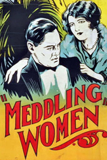 Movie poster for Meddling Women (1924)