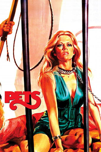 Pets poster