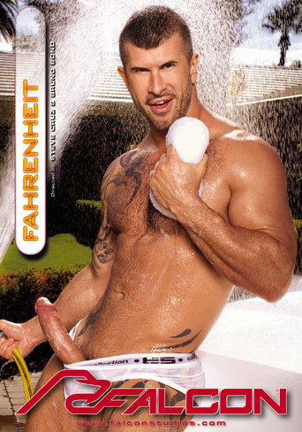 Movie poster for Fahrenheit (2011)