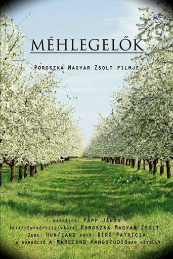 Movie poster for Méhlegelők (2017)
