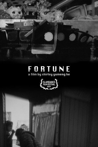 Movie poster for Fortune (2024)