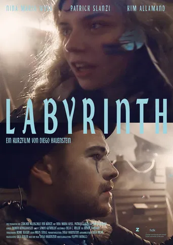 Movie poster for Labyrinth (2016)