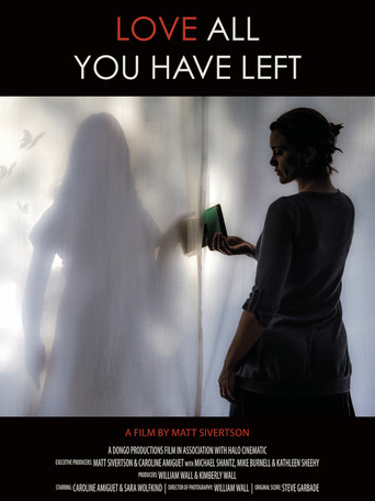 Movie poster for Love All You Have Left (2017)