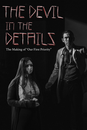 Movie poster for The Devil in the Details