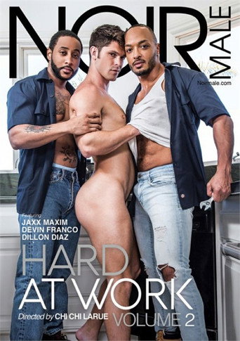 Movie poster for Hard At Work 2 (2019)
