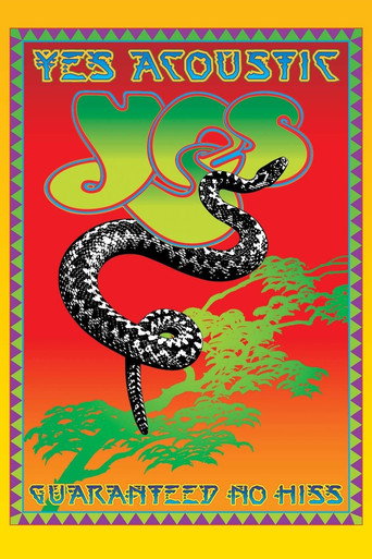Movie poster for Yes Acoustic: Guaranteed No Hiss (2004)
