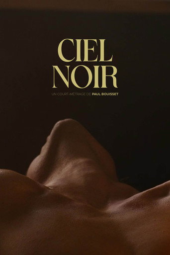 Movie poster for Ciel noir