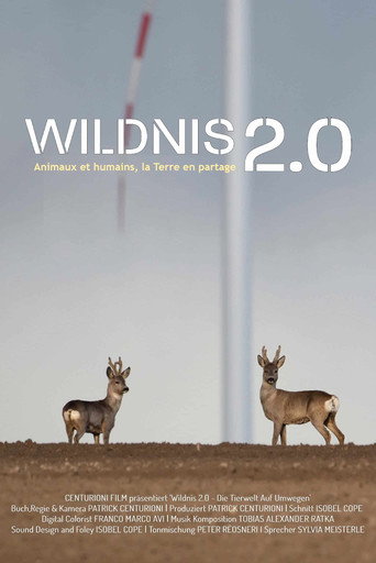 Movie poster for Wildnis 2.0 - Die Tierwelt auf Umwegen (2024)